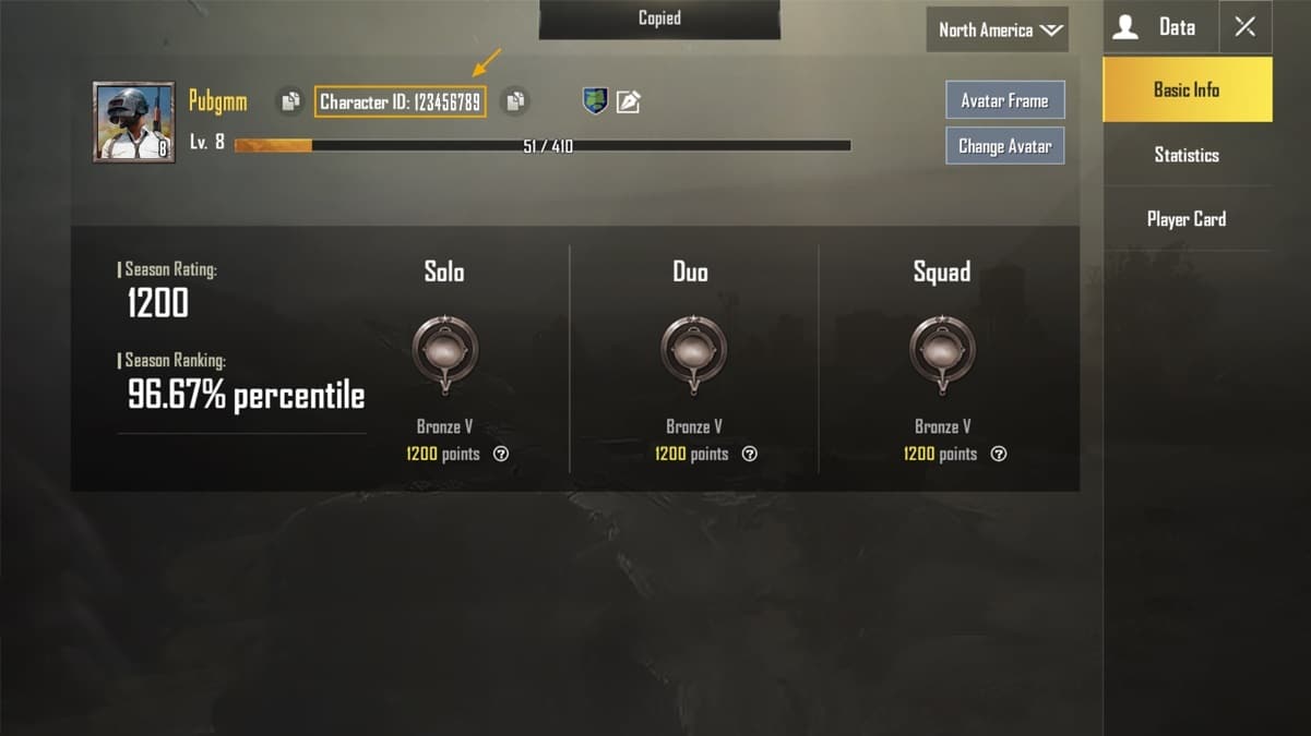 PUBG ID